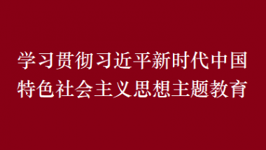 學(xué)習(xí)貫徹習(xí)近平新時代中國特色社會主義思想主題教育