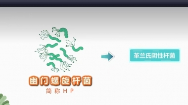 【健康科普在湖一】守”胃“健康，無”幽”無慮